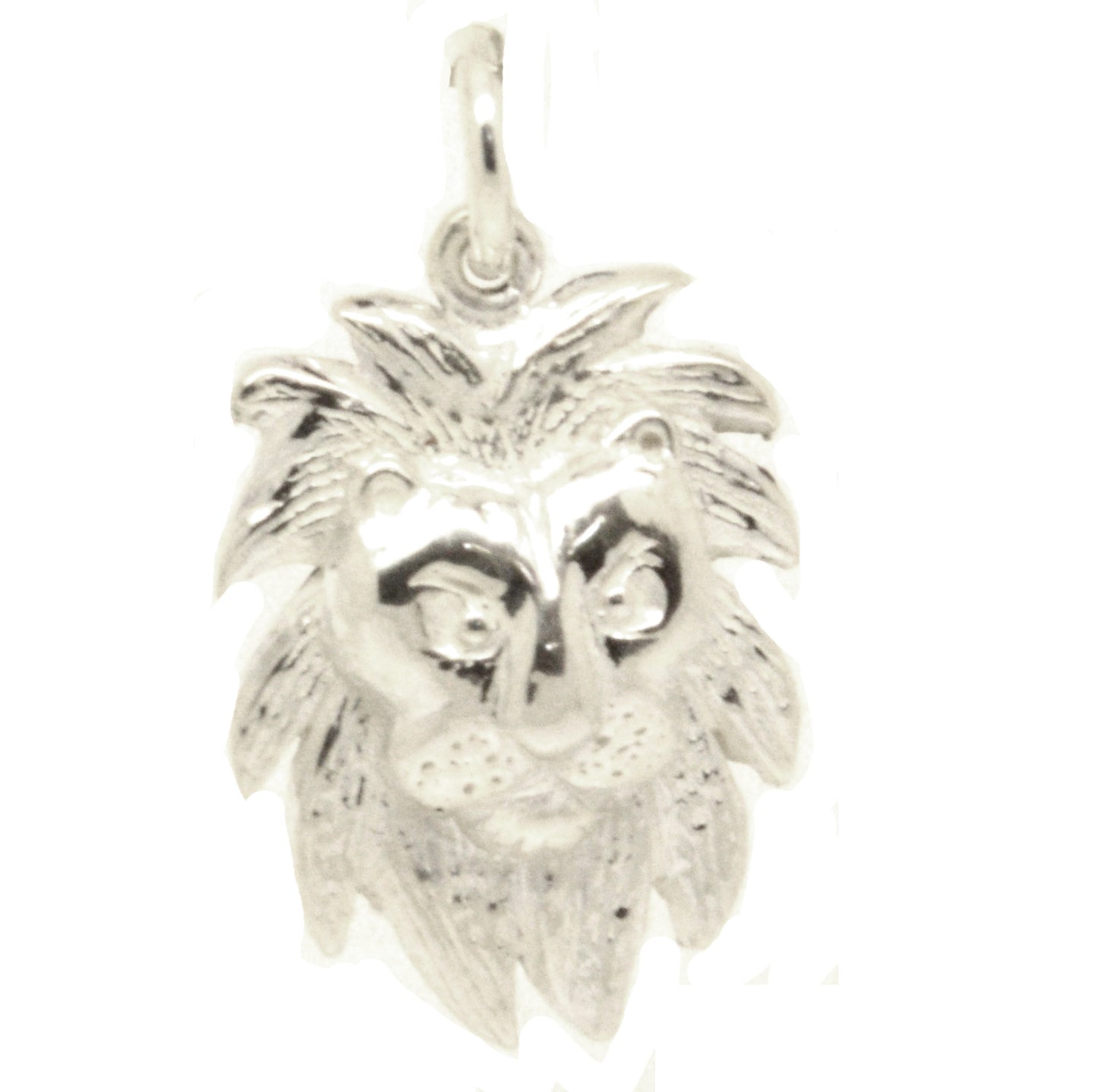Gold Lion Head Charm
