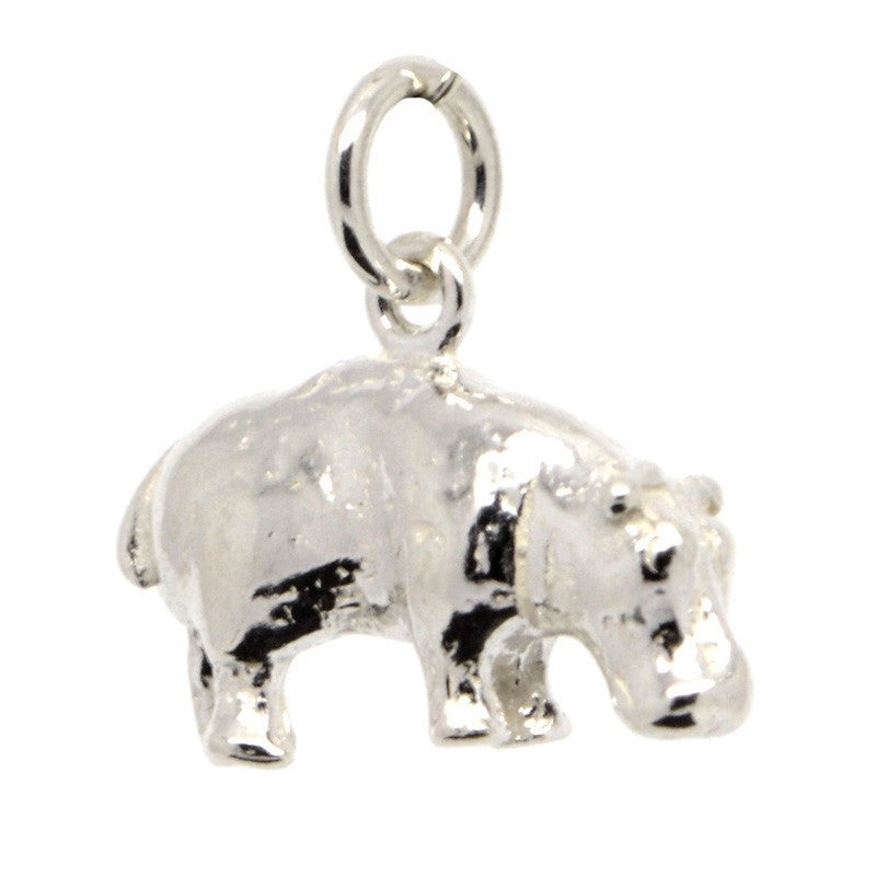 Silver 2025 charms wholesale