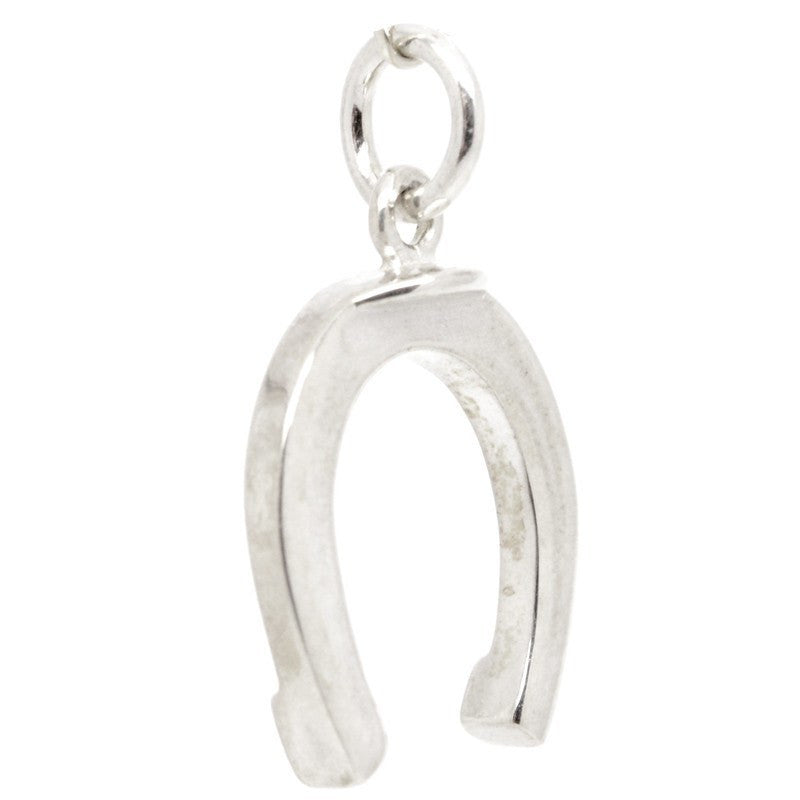 Gold Lucky Horseshoe Charm - Perfectcharm - 2