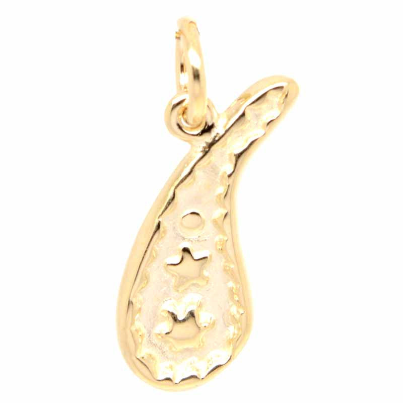 Gold Paisley Charm - Perfectcharm - 3