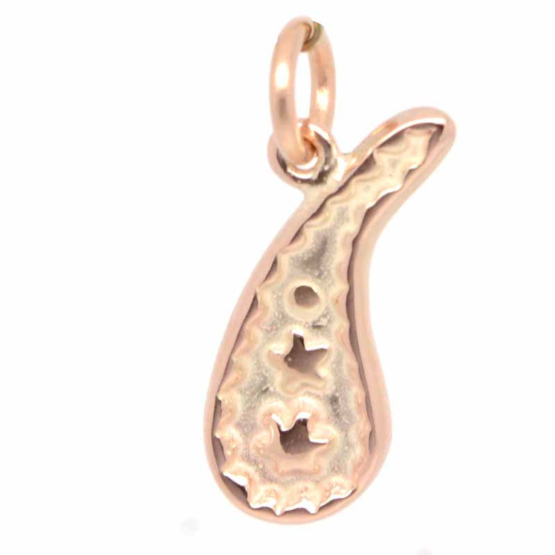 Gold Paisley Charm - Perfectcharm - 4