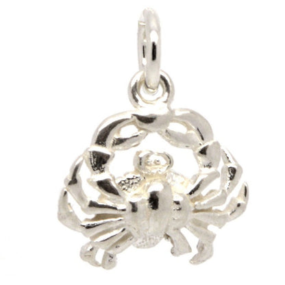 Cancer Charm - Perfectcharm - 4