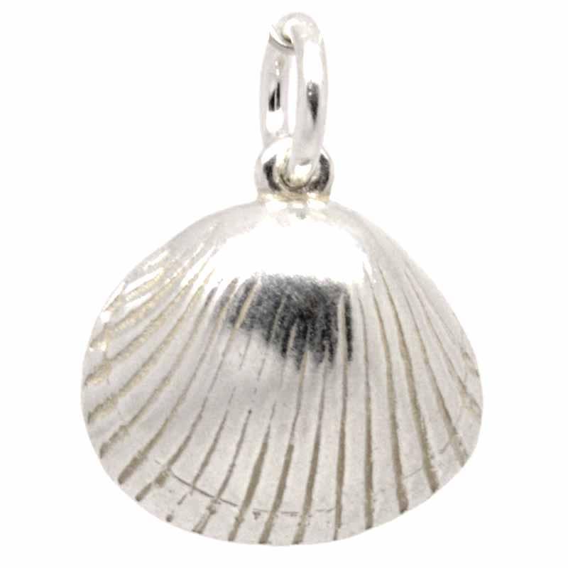 Charm - Cockle Shell Charm