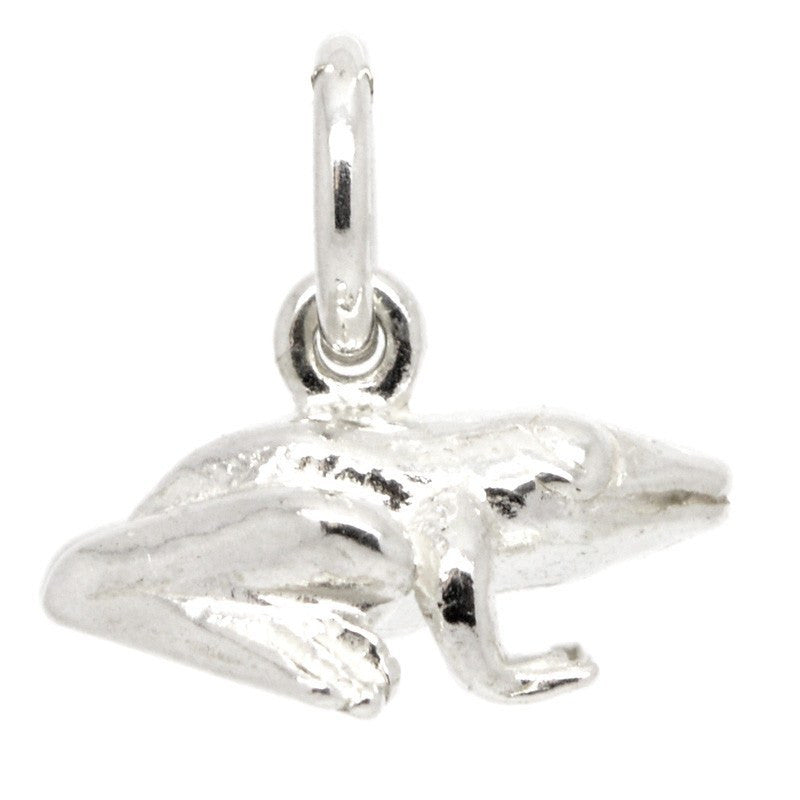 Silver 2025 frog charm