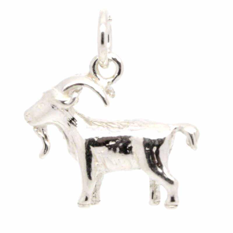 Charm - Silver Capricorn Charm