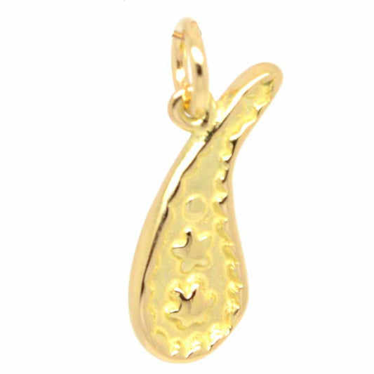 Gold Paisley Charm - Perfectcharm - 1